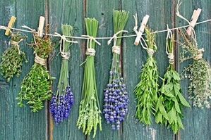 gyógynövények körömgomba kezelésére